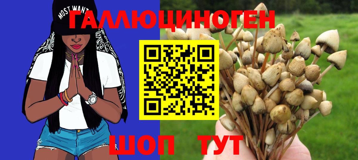 Мелеуз  Галлюциногенные грибы ЛСД  Псилоцибиновые грибы Psilocybe  Вход с VPN 