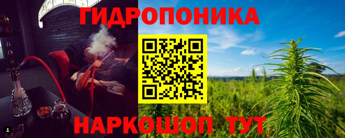 Бошки марихуана MAZAR Мелеуз
